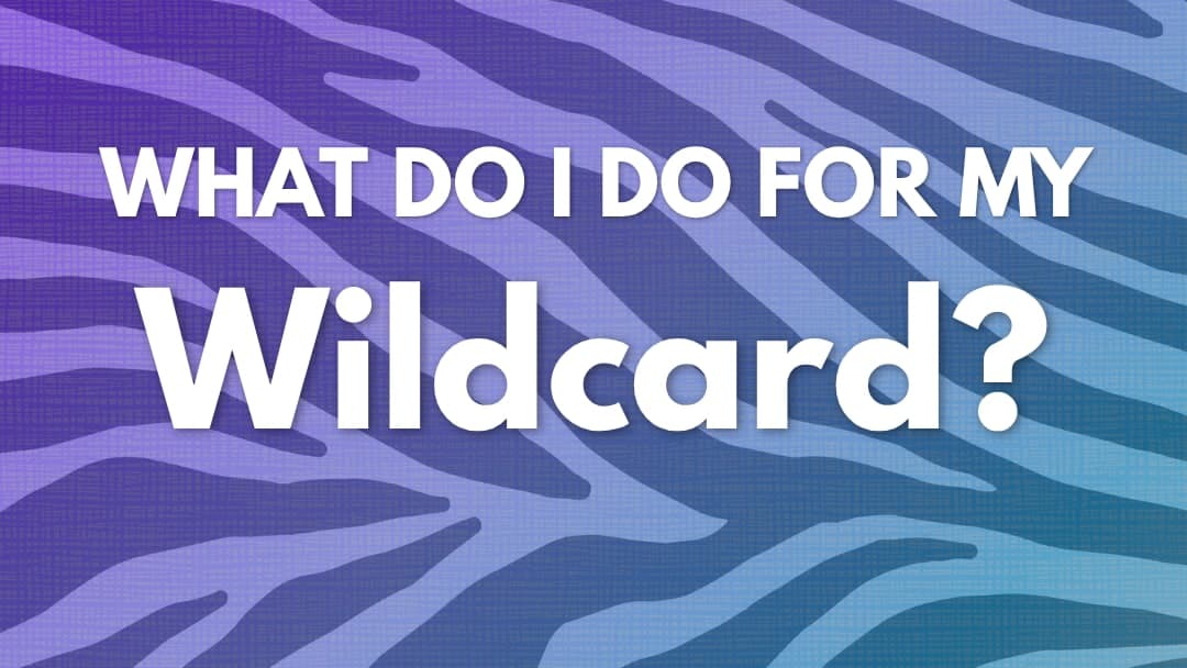 Wildcard Examples From Real Students